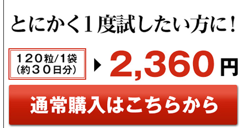 通常購入はこちら