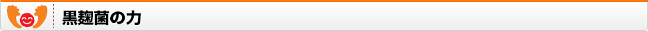黒麹菌の力