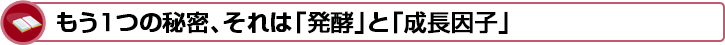 もう1つの秘密、それは「発酵」と「成長因子」